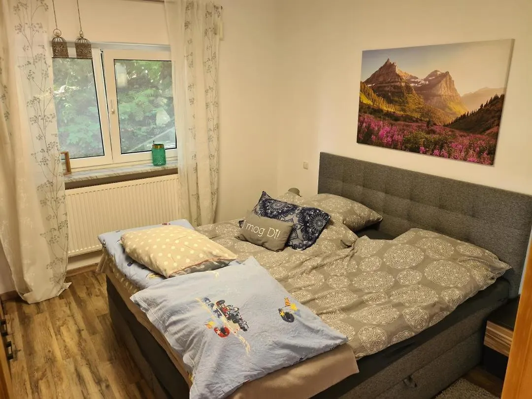 Neu Ferienwohnung Im Nationalpark Bayrischer Wald Neukirchen  Apartamento Neukirchen (Lower Bavaria)